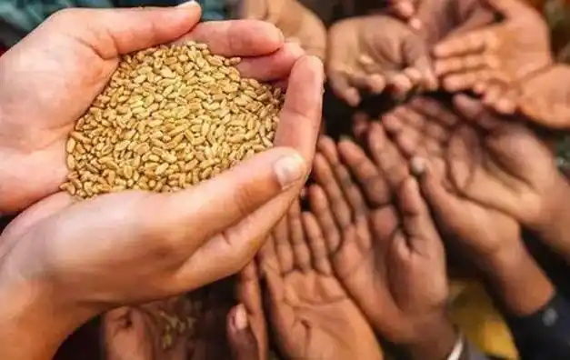 引發(fā)我國糧食災(zāi)難的原由